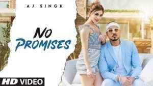 Punjabi Song No Promises Lyrics